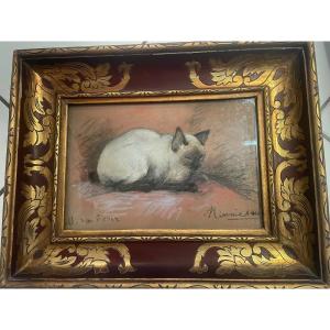 Van Rever's Siamese Cat