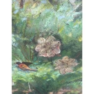 The Passerines Of Mogniat Duclos 