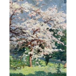 Spring And Its Flowering Trees 
