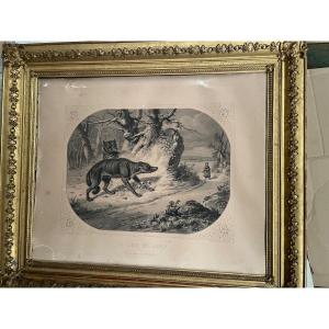 Engraving The Wolf Of The Alps After Ph. Ledieu 