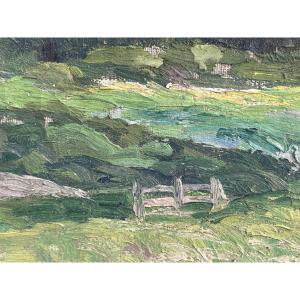 Summer Landscape