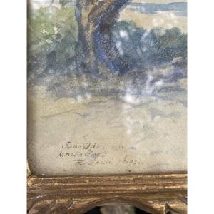 Watercolor Undergrowth At Montalivet De Salvi