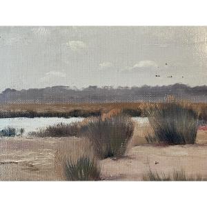 The Arcachon Basin Of Lavau-revel