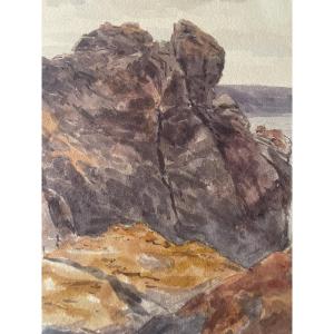 "the Mallow" Watercolor 