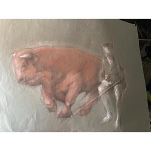 The Bull 