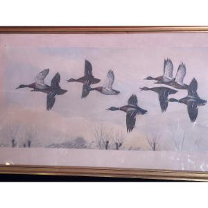 Flight Of Mallard Ducks From Riab 