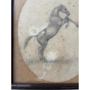 Drawing Of A Rearing Horse