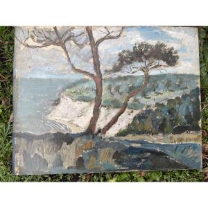 Cliff And Pine Tree By The Sea 