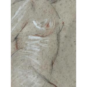 Drawing Of A Female Nude By Paul César Helleu