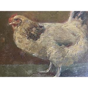 The Ladeveze Cauchois Hen 