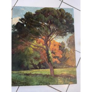 The Forest Of Raoul Dosque 