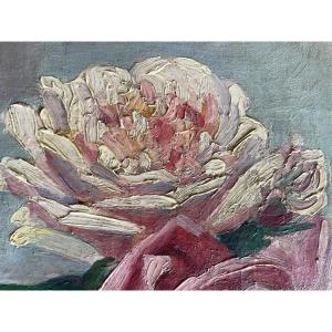 Bouquet Of Summer Flowers 