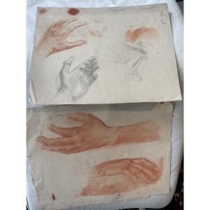 Study Of Hands, Sanguine Drawing