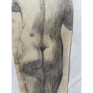 Nude Drawing From Behind