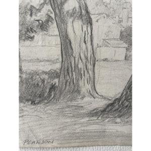 Drawing The Oaks Of Planson