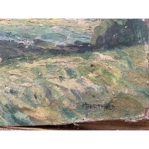 Countryside Landscape In Summer 