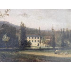 Ciceri's Animated Campaign 