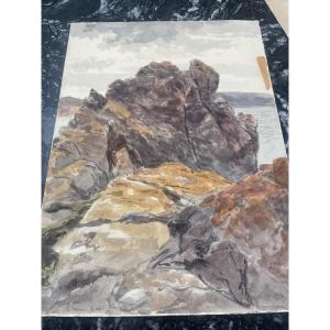 Watercolor: The Mallow 1871