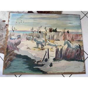 The Camargue And Its Horses 