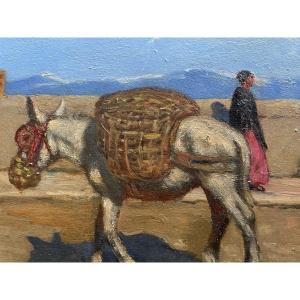 René Choquet's Donkeys