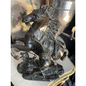Bronze Coustou Horse