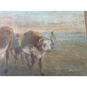 Cows In The Meadow
