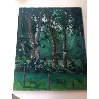 Fence And Chenes De Martrinchard