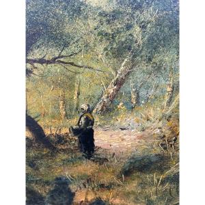 Fagotiere Sous Bois De Gourdon