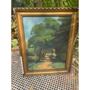 The Lake And Its Tree-lined Path