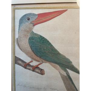 Triptych Original Engravings By Martinet