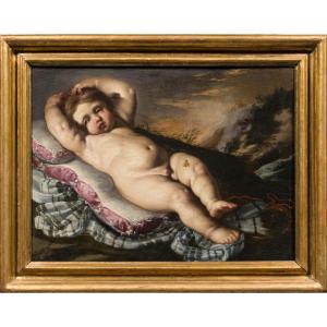 Bernardino Mei (Siena, 1612- Roma 1676)  Putto dormiente con un’ape 