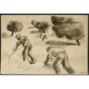 Drawing Jules Emile Zingg Study Haymaking 1936
