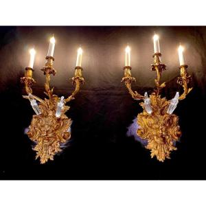 Fauna Head Sconces