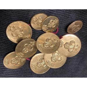 Set Of 10 1st Infantry Restoration Officer Buttons. With Lys Flower.