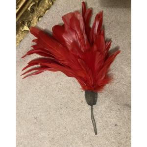 Plumet For Scarlet Shako Or Kepi 19th Century France