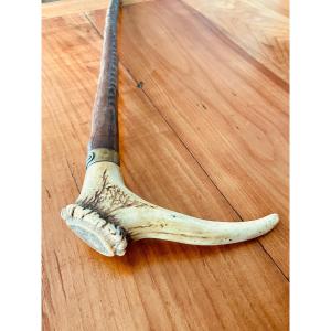 Deer Andouiller Cane