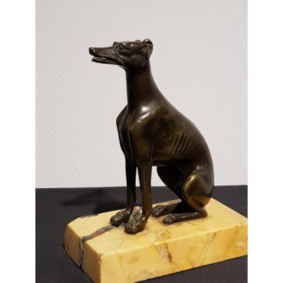 Bronze Greyhound