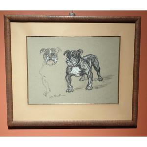 Dessin De Bouledogue - Henry-Claudius Forestier (1874 -1922)
