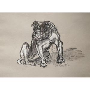 Dessin De Bouledogue - Henry-claudius Forestier (1874 -1922)