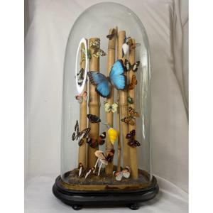 Butterflies Under A Globe