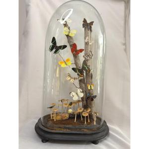 Butterflies Under A Globe