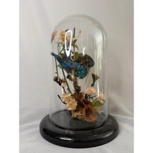 Taxidermied Kingfisher Under Glass Dome