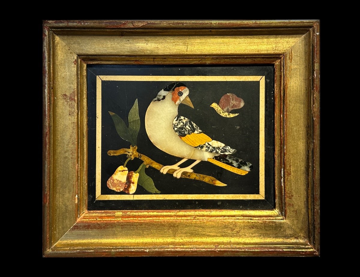 COPPIA DI PLACCHE FIORENTINE IN PIETRA DURA CON UCCELLI, XVIII SECOLO-photo-3