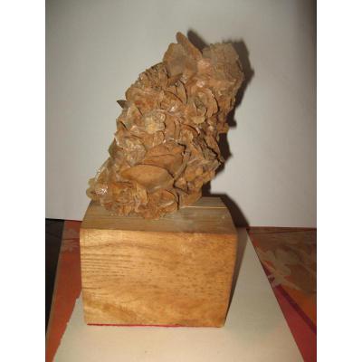 Rose Des Sables, From The Sahara.