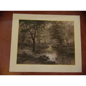 Body Of Water In An Undergrowth, 19th Century Engraving.