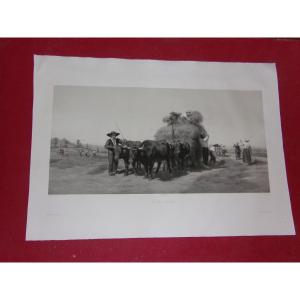 "haymaking", Large Engraving From The 19th Century.