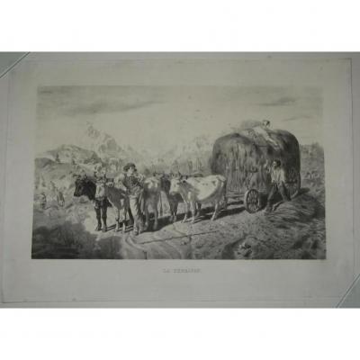 Landscape Grass, Lithograph, 19th Century.