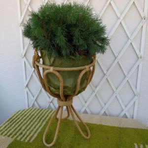 Plant Holder In Rope In The Taste Of Audoux Minet Circa 1950