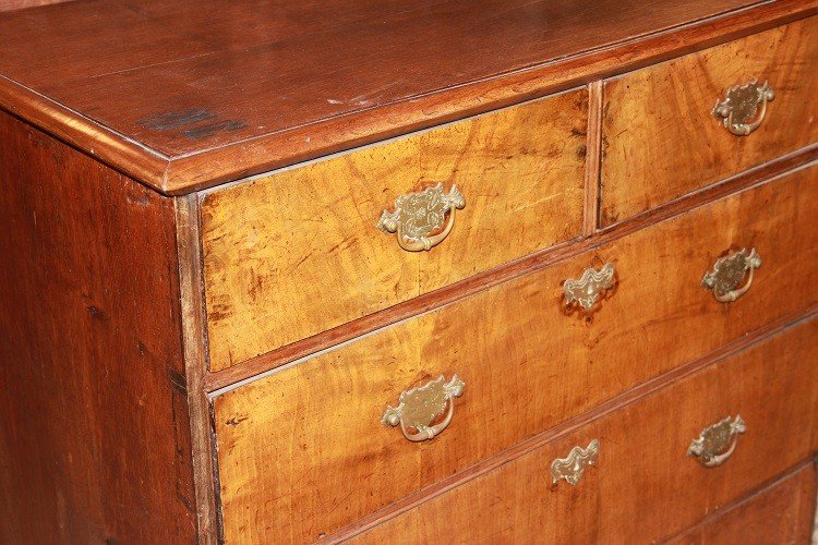 Piccolo cassettone comoncino inglese del 1700 stile Queen Anne in legno di noce-photo-3