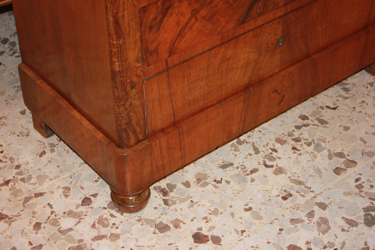 Comoncino Piccolo Cassettone francese Stile Luigi Filippo del 1800-photo-3